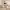 https://res.cloudinary.com/billionhands/image/upload/v1775513388/items/wgs9hjc8swkn76ytmdyh.png-2cover