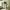 https://res.cloudinary.com/billionhands/image/upload/v1775513545/items/tpfwyfhriuwv2das0qh5.jpg-2cover