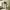 https://res.cloudinary.com/billionhands/image/upload/v1775513546/items/hydzngtcgjr1x4jicnjy.png-3cover