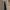 https://res.cloudinary.com/billionhands/image/upload/v1775513565/items/irhhccat0uzvjxebyzw9.jpg-1cover