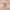 https://res.cloudinary.com/billionhands/image/upload/v1775513601/items/dvemas8hh4jm4jcmsauv.jpg-0cover