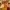 https://res.cloudinary.com/billionhands/image/upload/v1775513621/items/lf5fqg0ln0ugsn5h4bzc.png-2cover