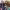 https://res.cloudinary.com/billionhands/image/upload/v1775513835/items/z4kema5ygoxajqx2qvgs.jpg-3cover