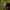 https://res.cloudinary.com/billionhands/image/upload/v1775513851/items/z9fimgklspwuez5zwxvh.jpg-1cover