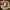 https://res.cloudinary.com/billionhands/image/upload/v1775513879/items/chfzsea7gqpelgipxbgg.jpg-2cover