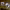 https://res.cloudinary.com/billionhands/image/upload/v1775514014/items/bby1uichjbhyjamfmayp.jpg-0cover
