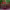 https://res.cloudinary.com/billionhands/image/upload/v1775514069/items/bjhzeaobktophurkjtel.webp-1cover