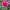 https://res.cloudinary.com/billionhands/image/upload/v1775514071/items/b147bexqkvhwxrsbchvn.jpg-3cover