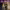 https://res.cloudinary.com/billionhands/image/upload/v1775514153/items/av7zraqr4egme9f0wdlm.png-0cover