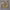https://res.cloudinary.com/billionhands/image/upload/v1775514502/items/xrzyvtq3fkpntlmnylzd.jpg-1cover