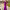 https://res.cloudinary.com/billionhands/image/upload/v1775514601/items/csbnnb5iozkpqtrihvyb.jpg-0cover