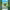 https://res.cloudinary.com/billionhands/image/upload/v1775514601/items/kobczpxsk7uecmduwfsc.jpg-2cover