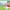 https://res.cloudinary.com/billionhands/image/upload/v1775514660/items/sgqhdokdygig6ffqp45o.png-3cover