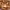 https://res.cloudinary.com/billionhands/image/upload/v1775514773/items/fupplewg6urxmdlpjgs6.jpg-0cover