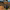 Content Licensing (Videos, Photos, Music) cover