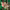 https://res.cloudinary.com/billionhands/image/upload/v1775514799/items/eed1qveew3m61pkjqexu.webp-3cover