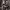 https://res.cloudinary.com/billionhands/image/upload/v1775514839/items/sluvczklgaif9wmsaflw.jpg-3cover