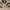 https://res.cloudinary.com/billionhands/image/upload/v1775514990/items/ekaldlf19kjjpibgoifd.webp-2cover
