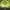 https://res.cloudinary.com/billionhands/image/upload/v1775515053/items/hmgitpgqsjhhrkkhtvww.jpg-3cover