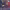 https://res.cloudinary.com/billionhands/image/upload/v1775515055/items/uxx1sgrhpn1obywnhbad.jpg-3cover