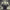 https://res.cloudinary.com/billionhands/image/upload/v1775515075/items/zkvmzlmibhr2l1hd0gif.jpg-0cover
