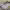 https://res.cloudinary.com/billionhands/image/upload/v1775515163/items/ndlkkry9wohxgohurtjj.webp-2cover