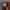 https://res.cloudinary.com/billionhands/image/upload/v1775515173/items/xc0eztd2qdjtfnuughza.webp-2cover