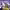 https://res.cloudinary.com/billionhands/image/upload/v1775515220/items/xmro2h6npnqxcdkaf6u0.jpg-1cover