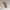 https://res.cloudinary.com/billionhands/image/upload/v1775515374/items/evud32qf8vzxj0wyoyyj.webp-1cover