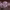 https://res.cloudinary.com/billionhands/image/upload/v1775515466/items/auvwr04dpmybpek9kp2w.jpg-1cover
