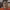 https://res.cloudinary.com/billionhands/image/upload/v1775515557/items/tf2ksylkvb7p64hsdcdi.jpg-2cover