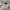 https://res.cloudinary.com/billionhands/image/upload/v1775515652/items/lgbo9av0mnsk5mj3f40h.webp-0cover