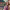 https://res.cloudinary.com/billionhands/image/upload/v1775515714/items/mgvn27be3qn9eextndqf.jpg-2cover