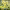 Tottering-By-Gently (2026) cover