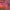 https://res.cloudinary.com/billionhands/image/upload/v1775515919/items/nuucdhi9j4fyxbbaqnec.webp-0cover
