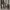 https://res.cloudinary.com/billionhands/image/upload/v1775515976/items/edon1vo4x4x6dq4z4e39.jpg-1cover