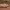 https://res.cloudinary.com/billionhands/image/upload/v1775515982/items/gguahz2q3tji4ovrsrbw.webp-0cover