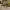 https://res.cloudinary.com/billionhands/image/upload/v1775515982/items/gipl0j37lzhvauvc2nsh.webp-2cover