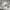 https://res.cloudinary.com/billionhands/image/upload/v1775515986/items/bq0rssutlb3b0kyzws8d.jpg-3cover
