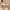 https://res.cloudinary.com/billionhands/image/upload/v1775515988/items/qpmz7hwgk8cupuxzwlhr.avif-0cover