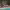 https://res.cloudinary.com/billionhands/image/upload/v1775515989/items/ujeelkjvtfduyjxnzutm.avif-1cover