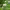 https://res.cloudinary.com/billionhands/image/upload/v1775516022/items/nm3pn1unpwvxs7mwpjt5.webp-1cover