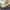 https://res.cloudinary.com/billionhands/image/upload/v1775516135/items/rdvwldwszt6imzqmrjc7.webp-2cover