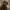 Josh O'Connor — The Brain (2026) cover