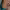 https://res.cloudinary.com/billionhands/image/upload/v1775516259/items/lzzlg7suhmca3wbx1anz.webp-0cover