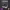 https://res.cloudinary.com/billionhands/image/upload/v1775516355/items/c3qqp3jttrcjay8mlyen.jpg-0cover