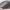 https://res.cloudinary.com/billionhands/image/upload/v1775516355/items/tmbnwfp8gdfns7ttwrty.jpg-1cover