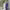 https://res.cloudinary.com/billionhands/image/upload/v1775516507/items/ripiry13tmz7yazz7g46.jpg-1cover