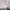 https://res.cloudinary.com/billionhands/image/upload/v1775516616/items/lfdb0ihwdj6cpk17lqex.webp-3cover