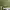 https://res.cloudinary.com/billionhands/image/upload/v1775516864/items/kd4xpf7bkuy2bntfdvys.webp-3cover